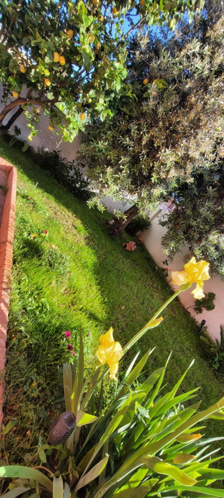 Kokky'S Home Su Forti المظهر الخارجي الصورة